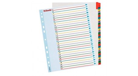 INDICE A4 MULTITALADRO 1-31 PLASTICO BORRA Y REESCRIBE