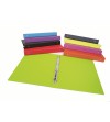 CARPETA PLASTICO FOLIO  4A L/25  ANILLA REDONDA ESCOLAR PVC COLORES SURTIDOS 2424