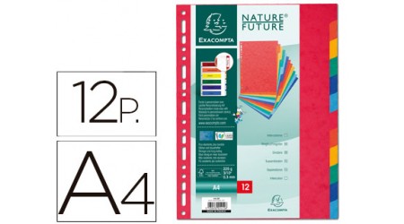 SEPARADOR EXACOMPTA CARTULINA SIMIL PRESPAN JUEGO DE 12 SEPARADORES DIN A4 MULTITALADRO COLORES VIVOS