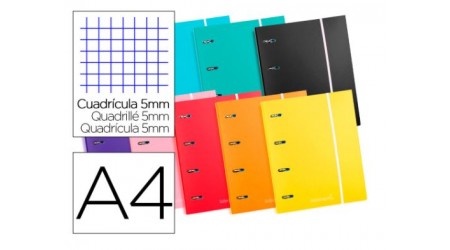 CARPETA CON RECAMBIO LP A4 CUADRO 5 MM 120 HOJAS 80 G 4 ANILLAS 40 MM REDONDAS