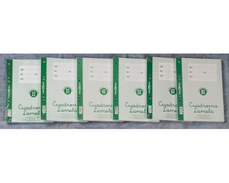 RECAMBIO CUADROVIA LAMELA CUADRICULA FOLIO 100 HOJAS 70 GR. 4x4 