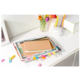 NOTAS ADHESIVAS POST-IT 670-5 NEON SURTIDO 15x50 MM  50 NOTAS X  5 COLORES