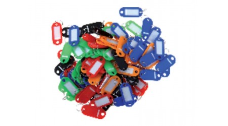 LLAVERO PLASTICO 100 UNIDADES SURTIDAS