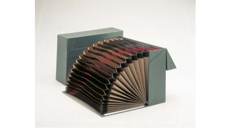 CAJA TRANSFERENCIA CON FUELLE FOLIO VERDE 390 x 255 x 110 mm. MA