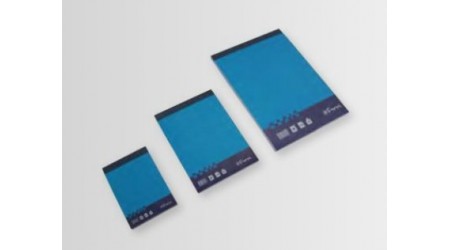 BLOC DE NOTAS PERFORADO A6 100 HOJAS LISO FAMA