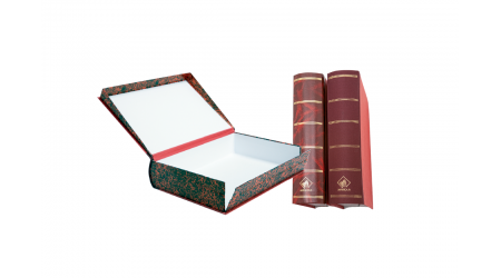 CAJA DE ARCHIVO CON LOMO FORMA DE LIBRO. LOMO WAFLEX